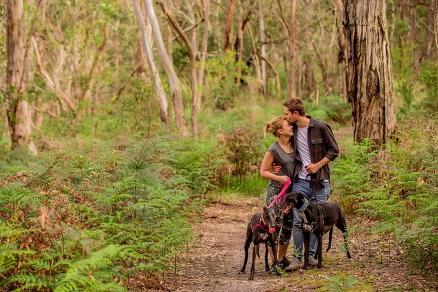 Country Wide Cottages, Otway Ranges VIC | Pooches At Play