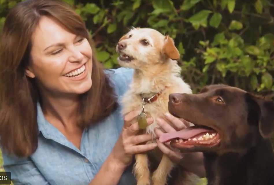 Dog Photography Tips